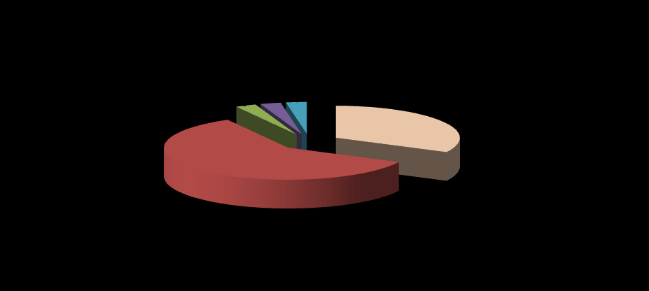Grafico 3. Distribuzione numerica di casi di malattia professionale segnalati all U.o.c. PISLL in provincia di Viterbo per tipologia di malattia. Anno 2011. tot.