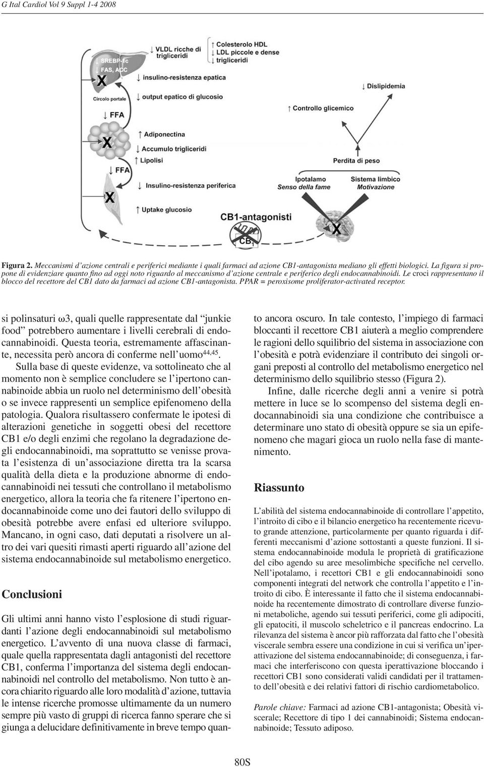 Le croci rappresentano il blocco del recettore del CB1 dato da farmaci ad azione CB1-antagonista. PPAR = peroxisome proliferator-activated receptor.