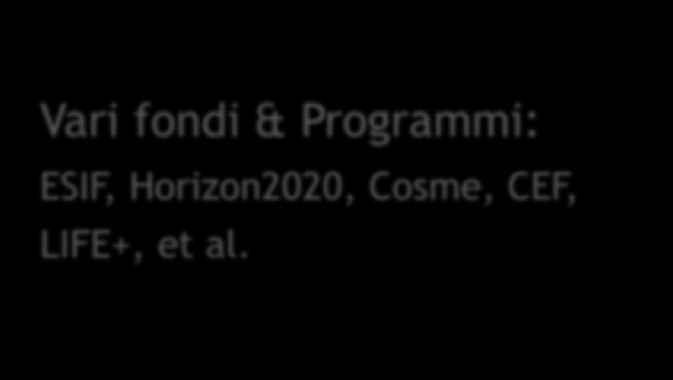 La regola dei 3 NO: - No nuovi fondi - No nuove strutture - No nuove norme Vari fondi & Programmi: ESIF,