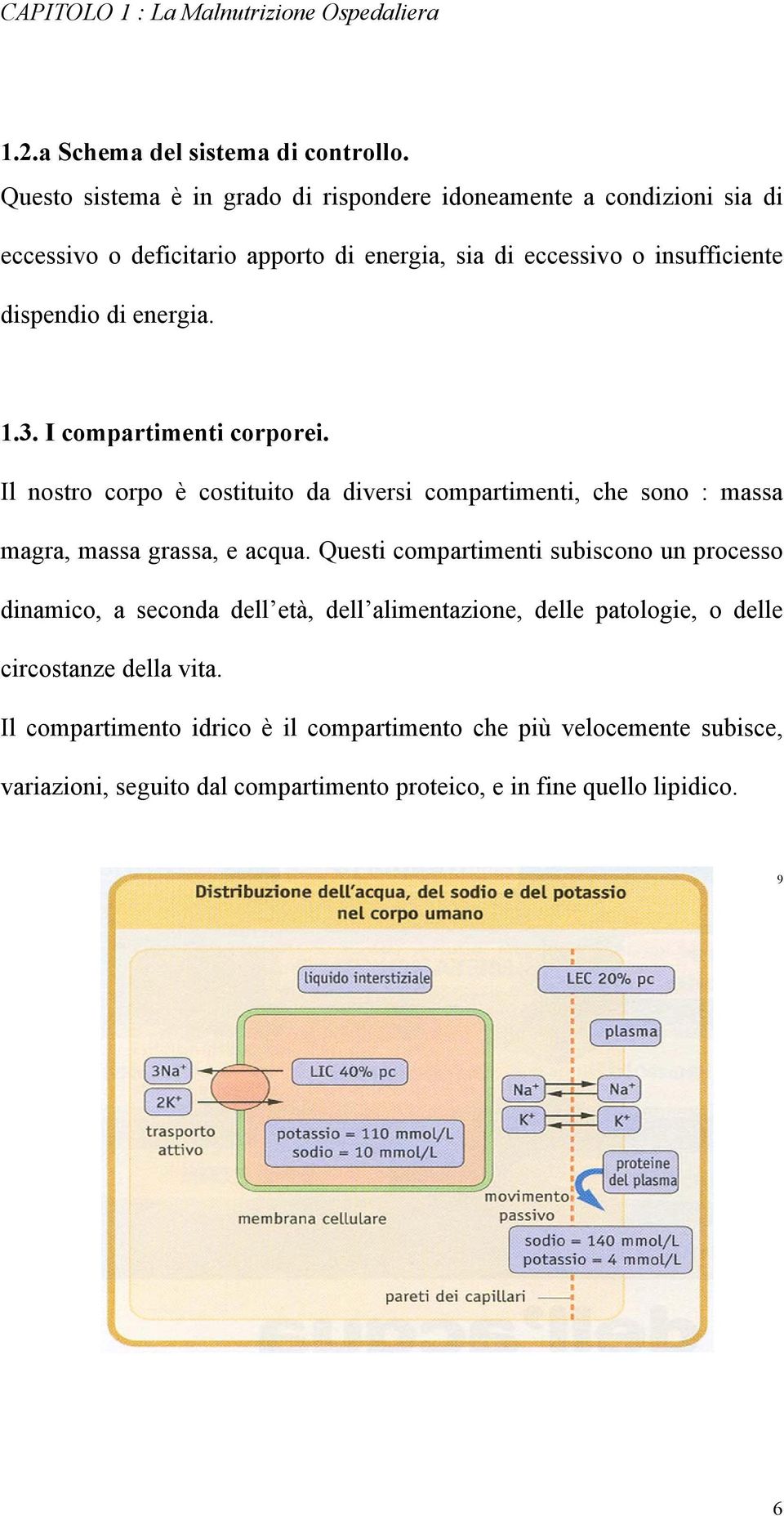 1.3. I compartimenti corporei. Il nostro corpo è costituito da diversi compartimenti, che sono : massa magra, massa grassa, e acqua.