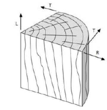 ANISOTROPIA (Proprietà meccaniche funzione dell orientazione delle fibre) Legno materiale ortotropo -