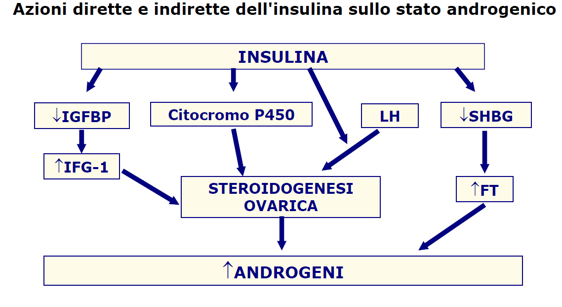 Il circolo vizioso della PCOS