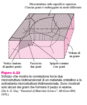 Bordi di grano in