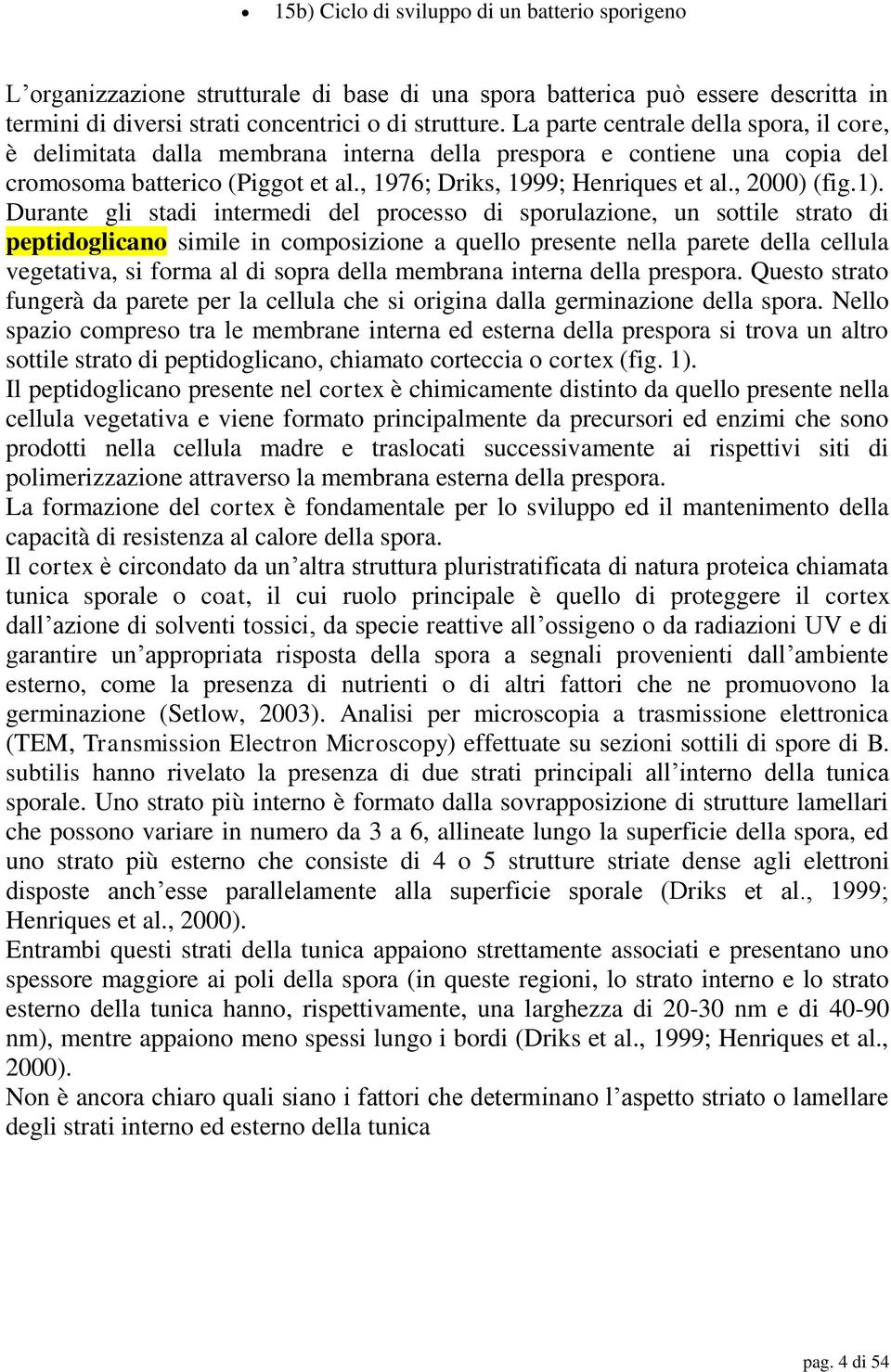 1). Durante gli stadi intermedi del processo di sporulazione, un sottile strato di peptidoglicano simile in composizione a quello presente nella parete della cellula vegetativa, si forma al di sopra