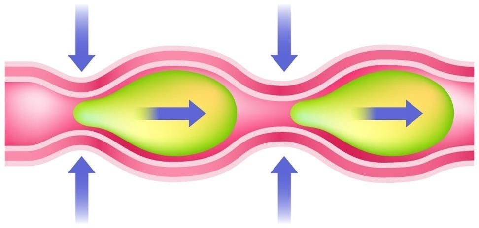 PERISTALSI Sequenza motoria integrata basata sull