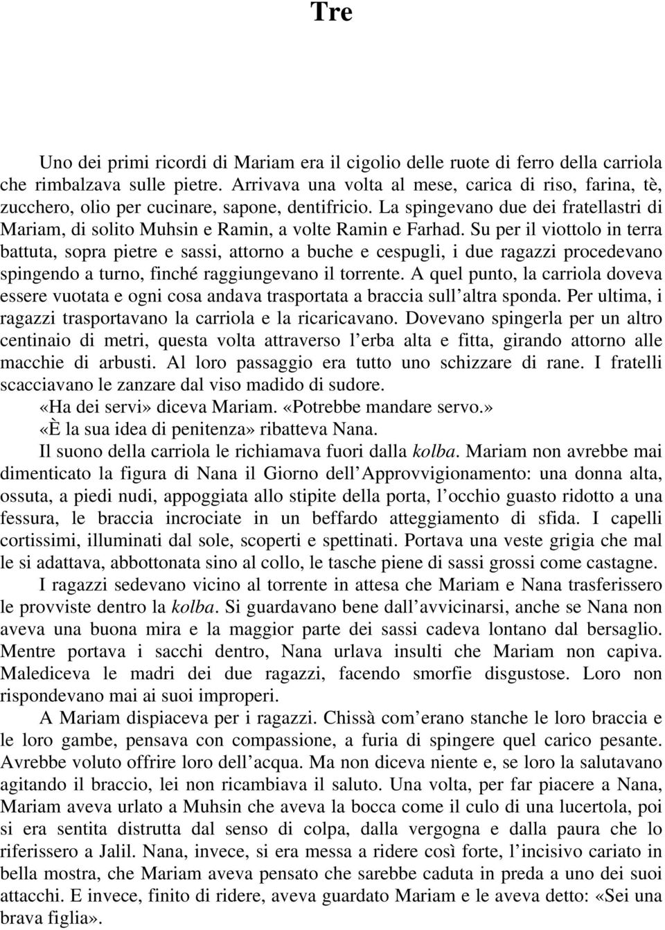 La spingevano due dei fratellastri di Mariam, di solito Muhsin e Ramin, a volte Ramin e Farhad.