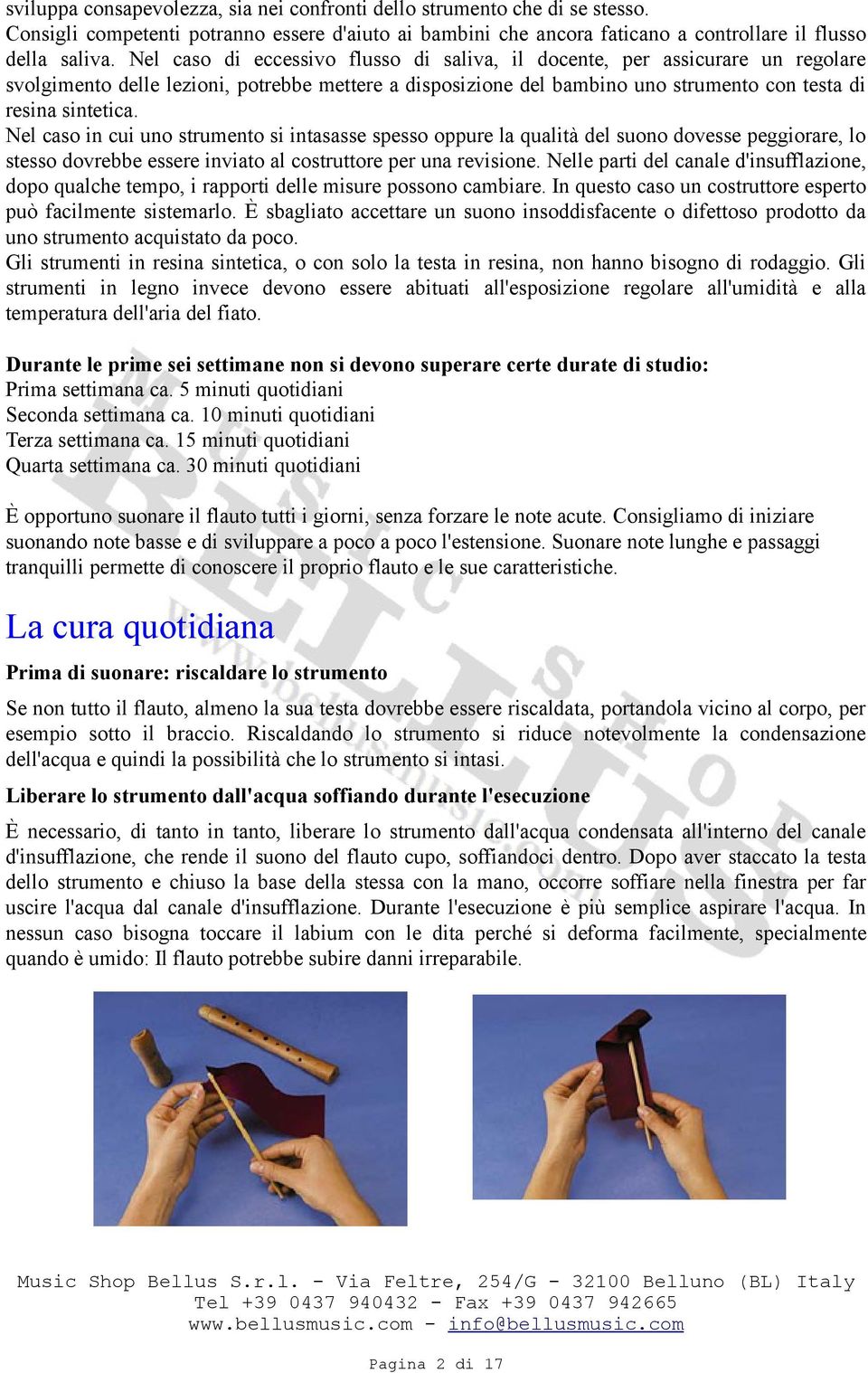 Nel caso in cui uno strumento si intasasse spesso oppure la qualità del suono dovesse peggiorare, lo stesso dovrebbe essere inviato al costruttore per una revisione.