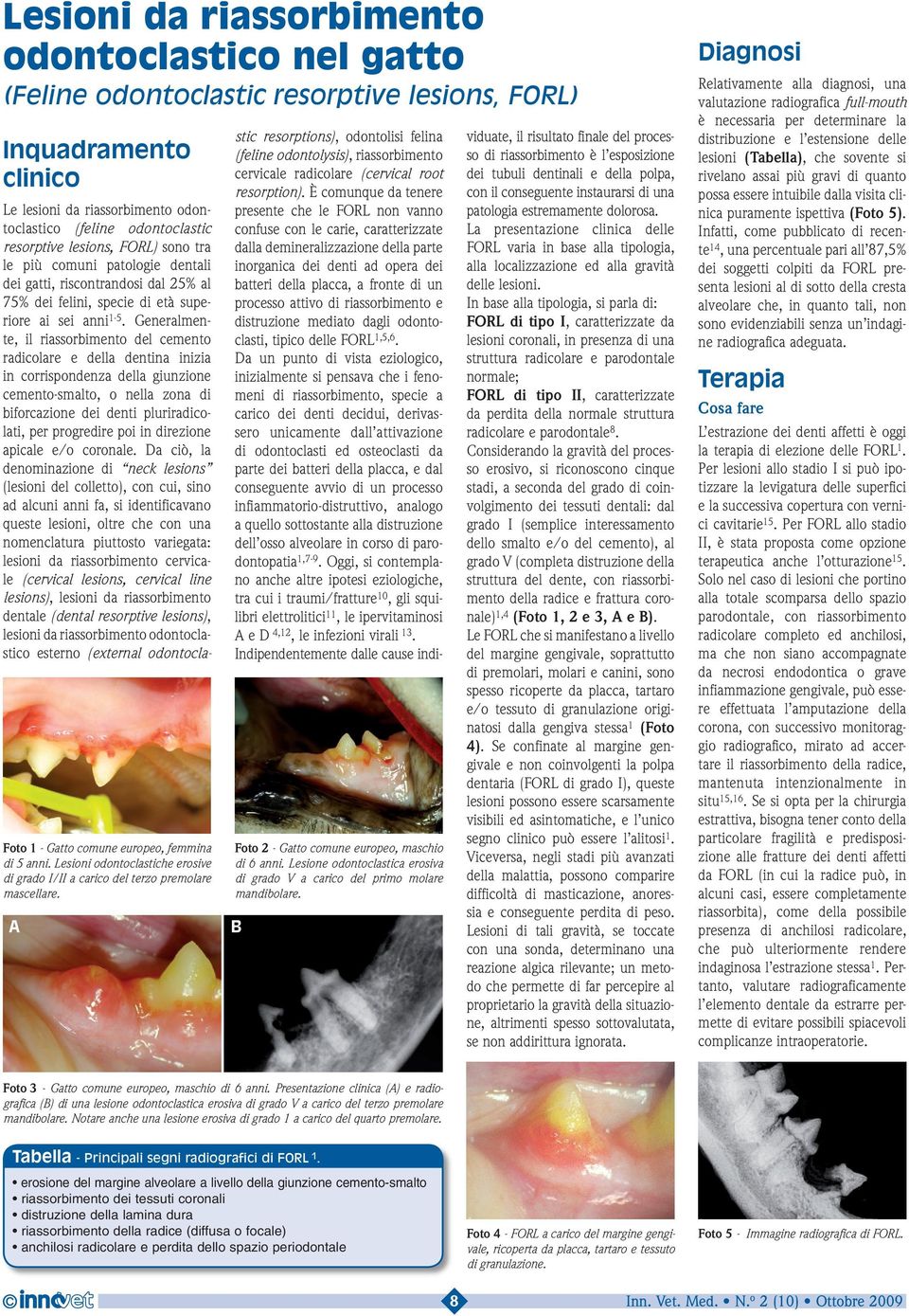 Lesione odontoclastica erosiva di grado V a carico del primo molare mandibolare.