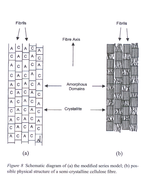 FIBRE DI CELLULOSA Le fibre di cellulosa si possono modellizzare come formate da micro-fibrille con parti orientate (cristalliti) e parti in direzione random (amorfe).