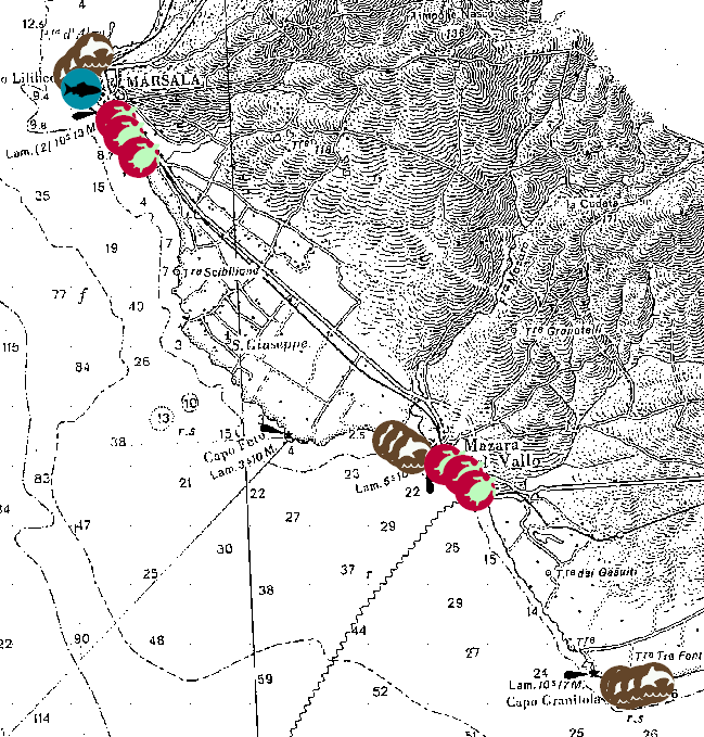 _ Fig. 16 Spiaggiamenti delfini Lo spiaggiamento, singolo o in massa, di cetacei è un fenomeno ormai conosciuto da tutti e da molto tempo.