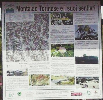 8.30 12 CAMMINATA ECOLOGICA non competitiva Alla scoperta dei più bei sentieri ed angoli nascosti di Montaldo, con ristoro lungo il percorso. A cura degli Alpini montaldesi. Quota iscrizione: 4.00 10.