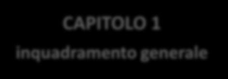 Il Conto Termico: Struttura delle Regole Applicative REGOLE APPLICATIVE testo integrato CAPITOLO 1 inquadramento generale - Schema di sintesi del DM - Precisazioni e definizioni per l applicazione