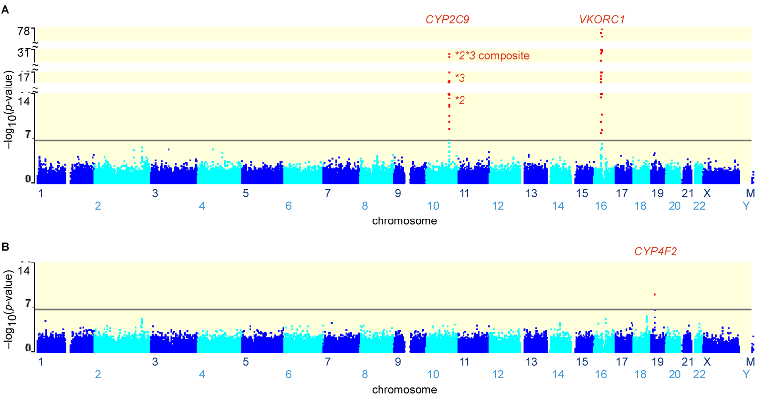 GWAS conferma che VKORC1 e CYP2C9 sono i determinanti