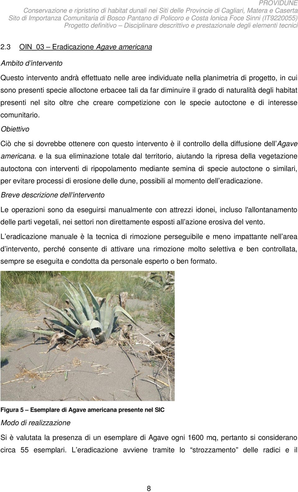 Obiettivo Ciò che si dovrebbe ottenere con questo intervento è il controllo della diffusione dell Agave americana.