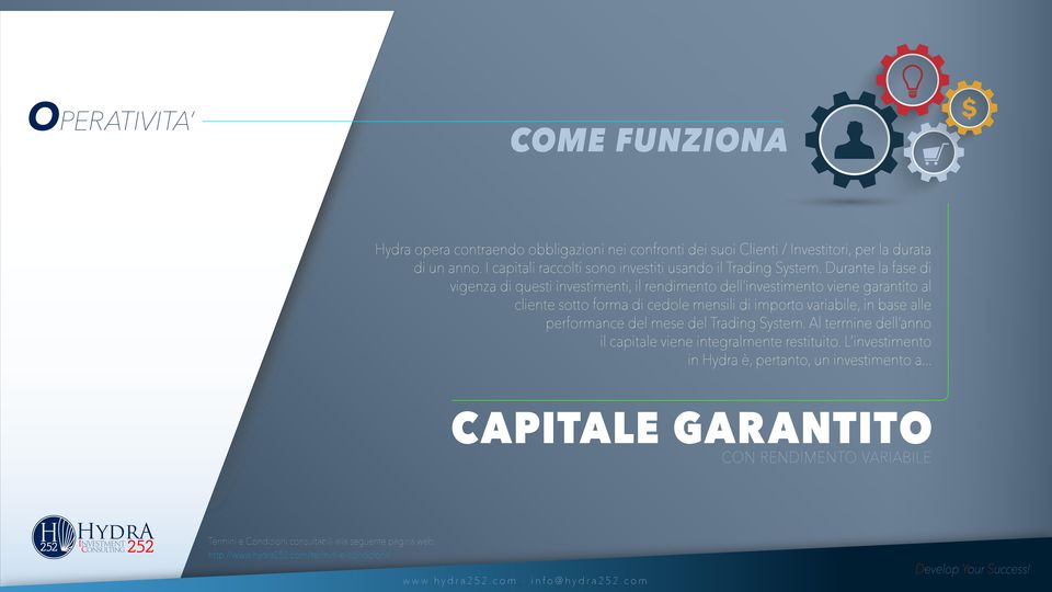 Durante la fase di vigenza di questi investimenti, il rendimento dell investimento viene garantito al cliente sotto forma di cedole mensili di importo variabile, in base