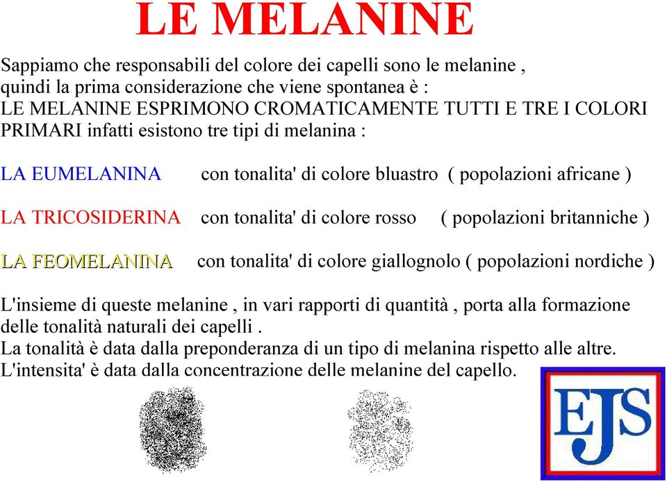 FEOMELANINA con tonalita' di colore giallognolo ( popolazioni nordiche ) ( popolazioni britanniche ) L'insieme di queste melanine, in vari rapporti di quantità, porta alla formazione