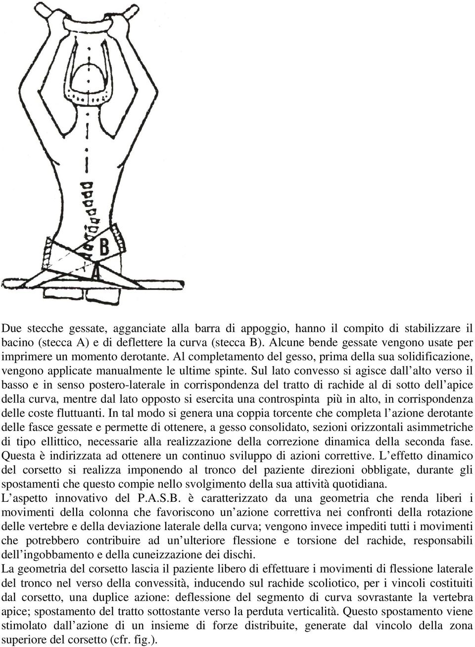 Sul lato convesso si agisce dall alto verso il basso e in senso postero-laterale in corrispondenza del tratto di rachide al di sotto dell apice della curva, mentre dal lato opposto si esercita una