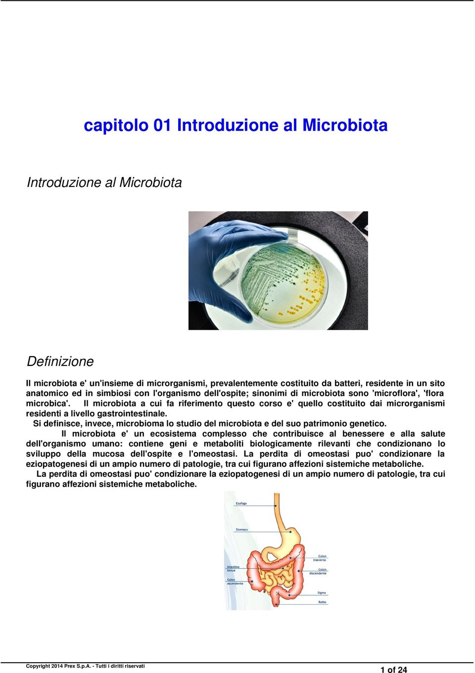 Il microbiota a cui fa riferimento questo corso e' quello costituito dai microrganismi residenti a livello gastrointestinale.