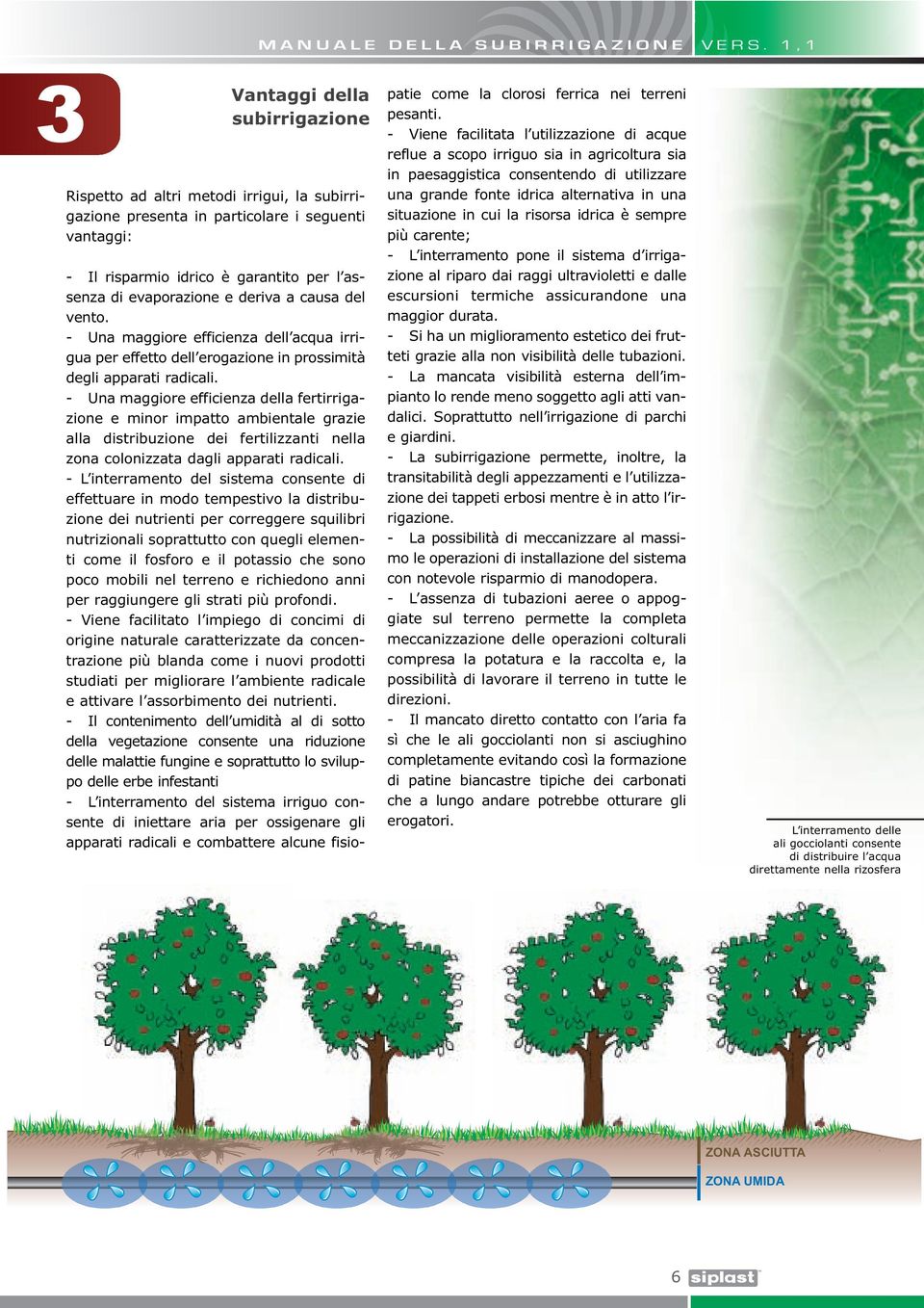 - Una maggiore efficienza della fertirrigazione e minor impatto ambientale grazie alla distribuzione dei fertilizzanti nella zona colonizzata dagli apparati radicali.