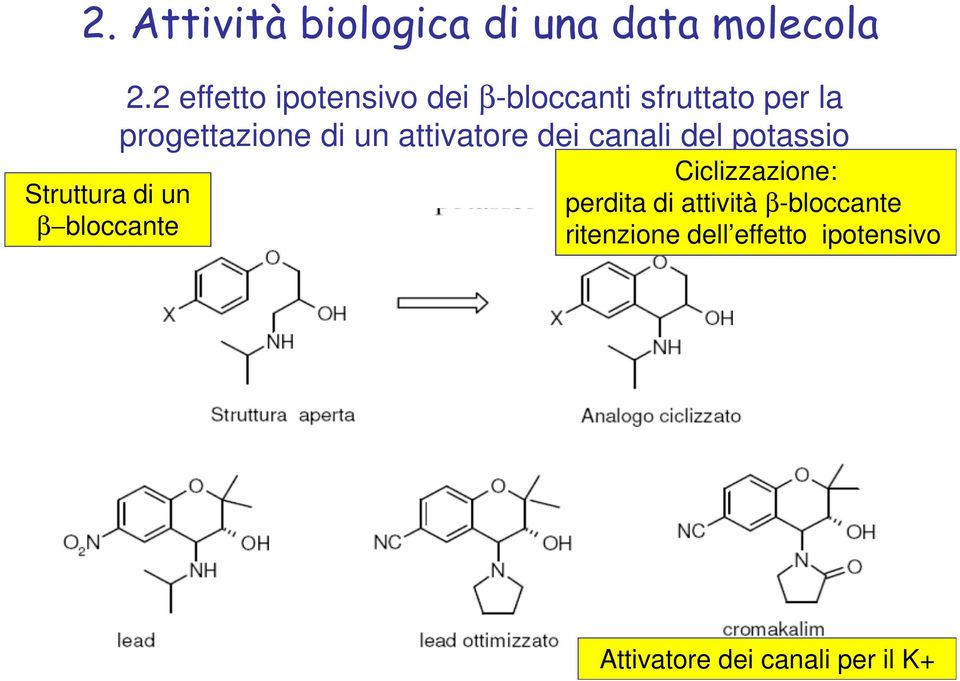 attivatore dei canali del potassio Ciclizzazione: perdita di attività