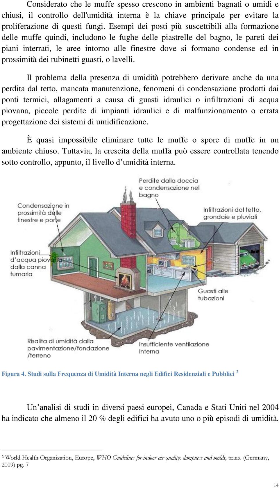 condense ed in prossimità dei rubinetti guasti, o lavelli.