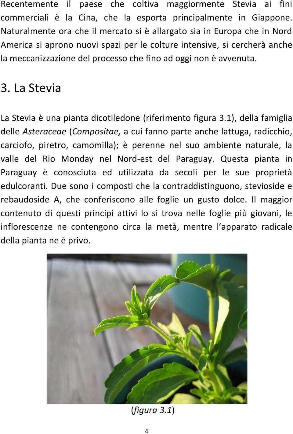 è avvenuta. 3. La Stevia La Stevia è una pianta dicotiledone (riferimento figura 3.