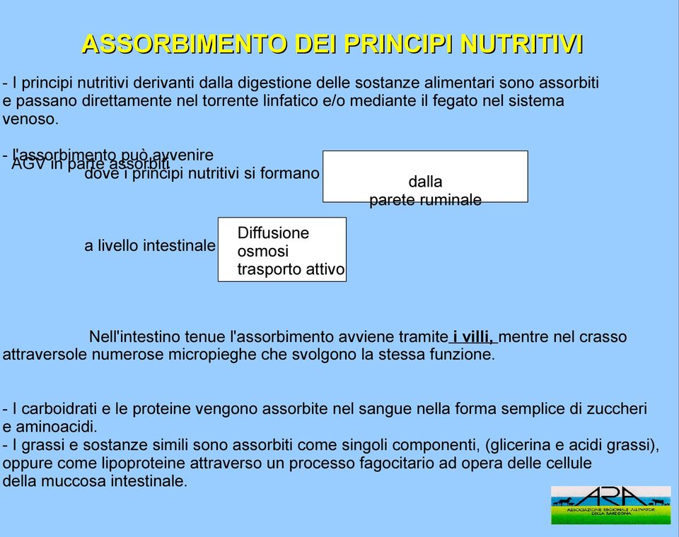 - l'assorbimento può avvenire AGV in parte assorbiti dove i principi nutritivi si formano a livello intestinale dalla parete ruminale Diffusione osmosi trasporto attivo Nell'intestino tenue