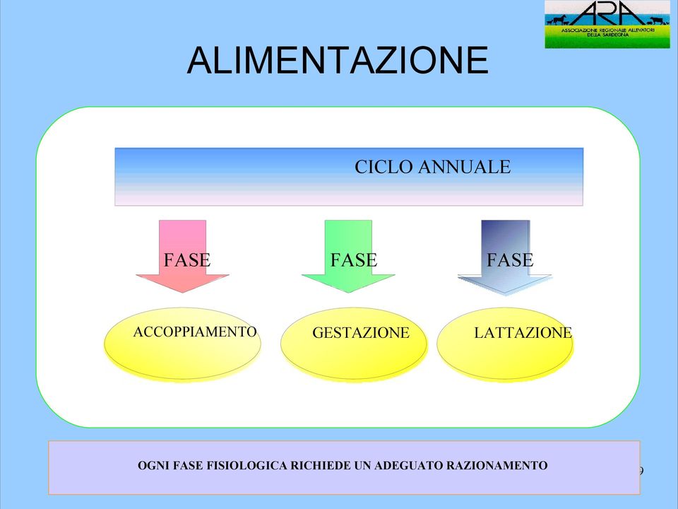 LATTAZIONE OGNI FASE FISIOLOGICA