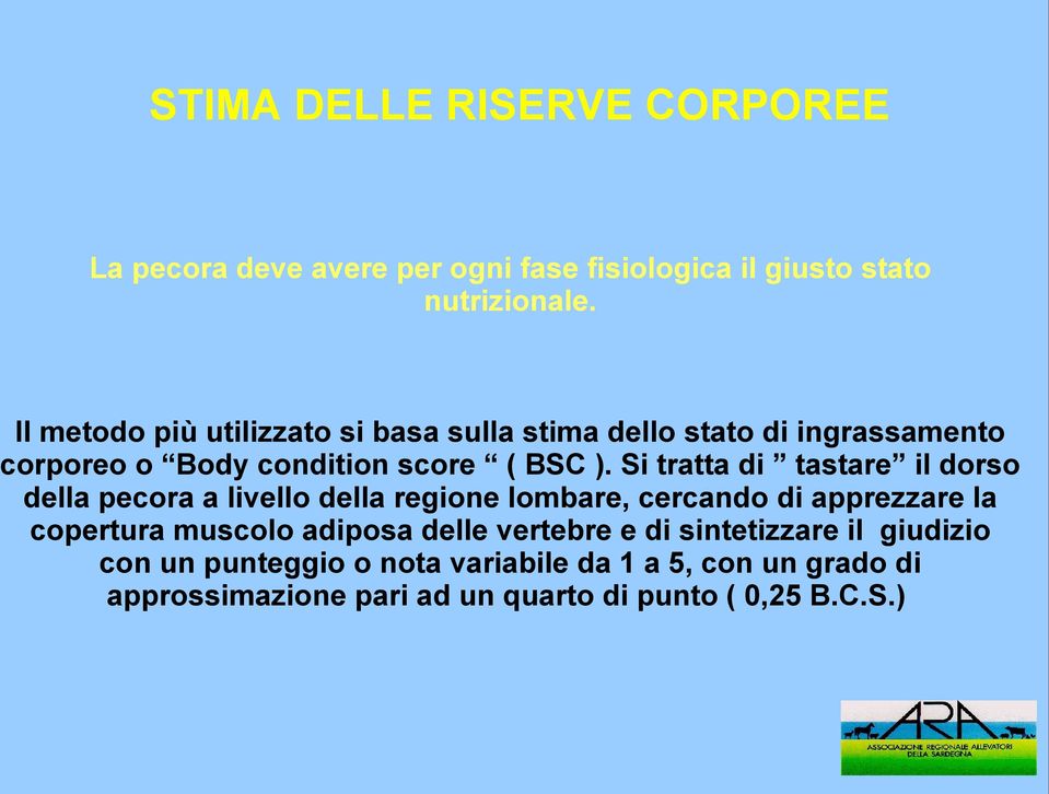 Si tratta di tastare il dorso della pecora a livello della regione lombare, cercando di apprezzare la copertura muscolo adiposa