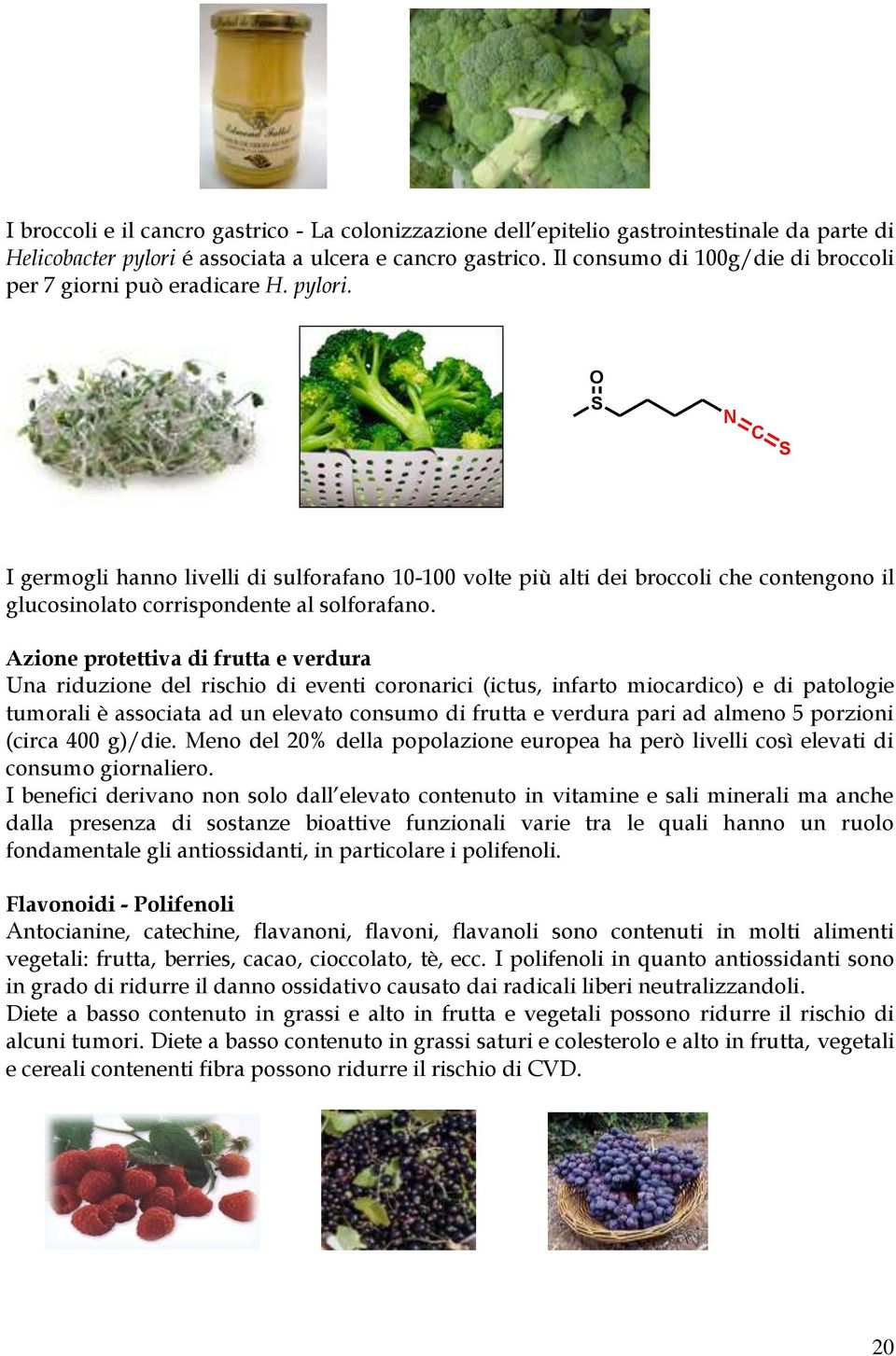 S N C S I germogli hanno livelli di sulforafano 10-100 volte più alti dei broccoli che contengono il glucosinolato corrispondente al solforafano.