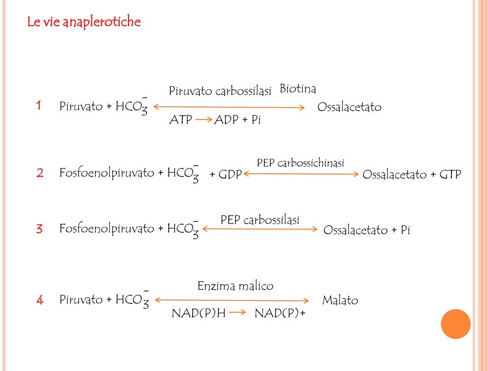 + GDP Ossalacetato + GTP 3 Fosfoenolpiruvato + HCO - 3 PEP carbossilasi