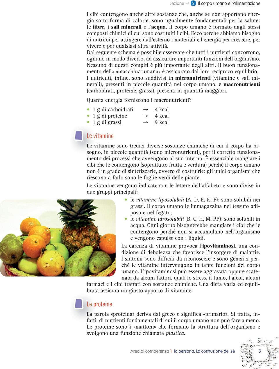 Ecco perché abbiamo bisogno di nutrirci per attingere dall esterno i materiali e l energia per crescere, per vivere e per qualsiasi altra attività.