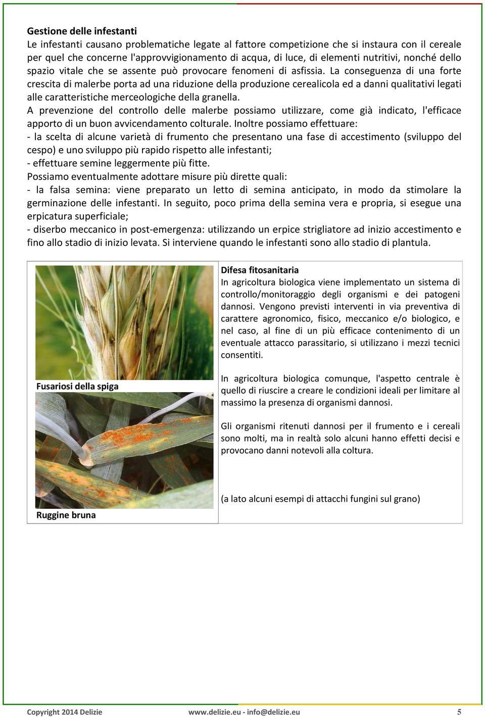 La conseguenza di una forte crescita di malerbe porta ad una riduzione della produzione cerealicola ed a danni qualitativi legati alle caratteristiche merceologiche della granella.