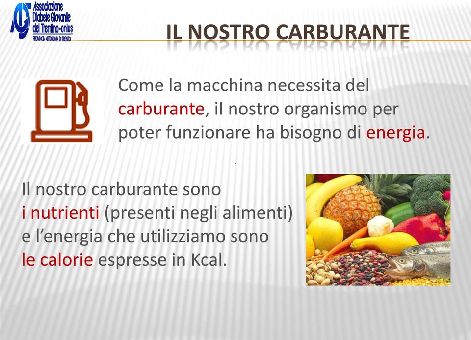 Il nostro carburante sono i nutrienti (presenti negli alimenti)