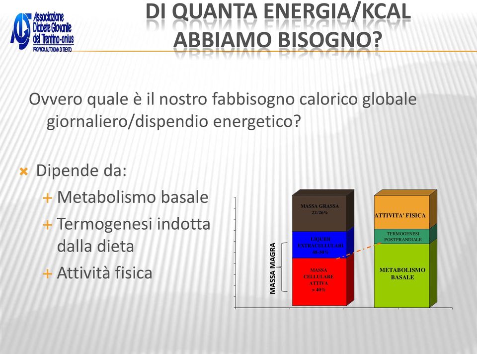 Dipende da: Metabolismo basale Termogenesi indotta dalla dieta Attività fisica MASSA