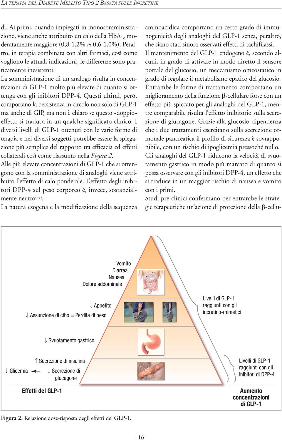 La somministrazione di un analogo risulta in concentrazioni di GLP-1 molto più elevate di quanto si ottenga con gli inibitori DPP-4.