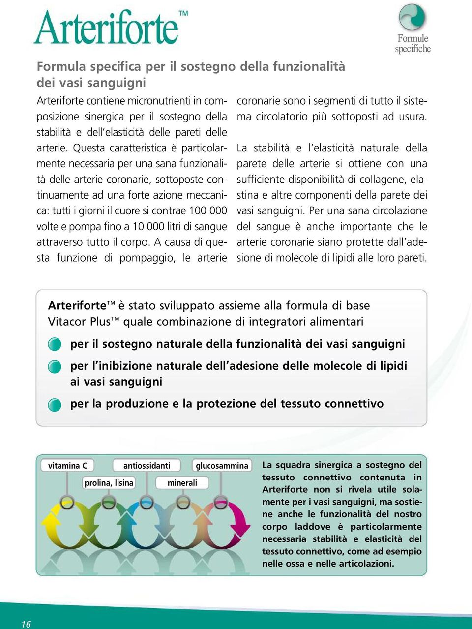 Questa caratteristica è particolarmente necessaria per una sana funzionalità delle arterie coronarie, sottoposte continuamente ad una forte azione meccanica: tutti i giorni il cuore si contrae 100