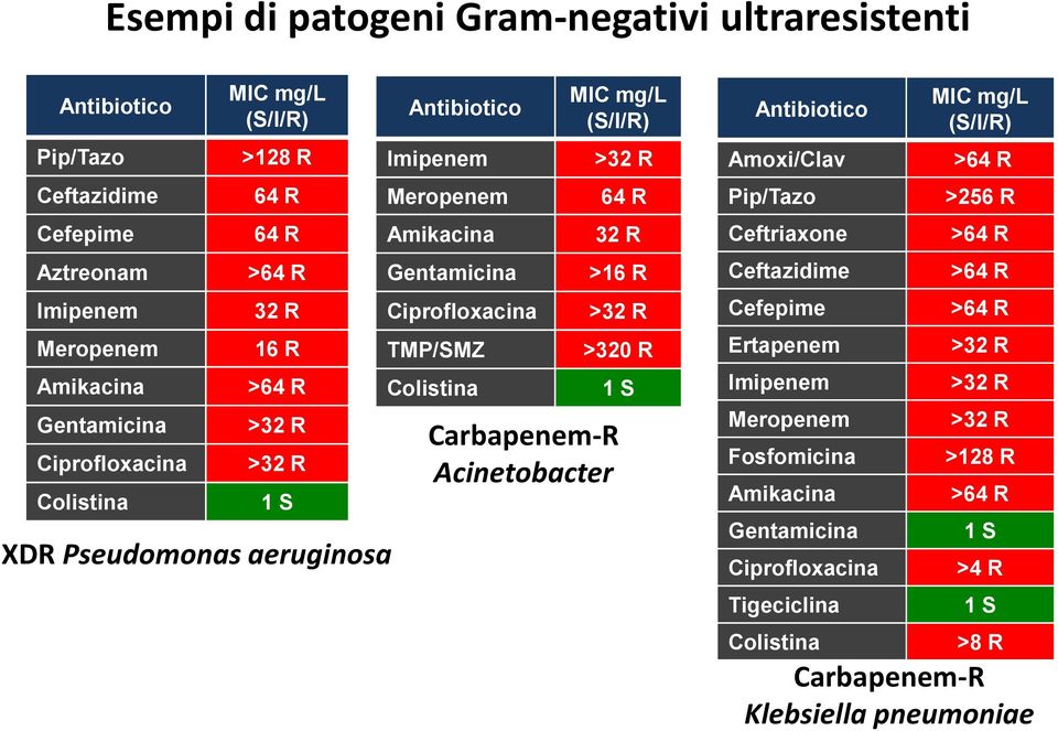 mg/l (S/I/R) >32 R 64 R 32 R >16 R >32 R >320 R 1 S Carbapenem-R Acinetobacter Antibiotico Amoxi/Clav Pip/Tazo Ceftriaxone Ceftazidime Cefepime Ertapenem Imipenem Meropenem