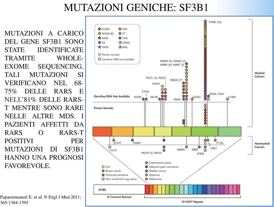 TALI MUTAZIONI SI VERIFICANO NEL 68-75% DELLE RARS E NELL 81% DELLE RARS- T MENTRE SONO RARE