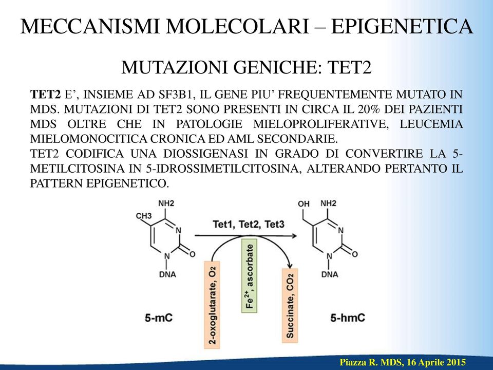 MUTAZIONI DI TET2 SONO PRESENTI IN CIRCA IL 20% DEI PAZIENTI MDS OLTRE CHE IN PATOLOGIE MIELOPROLIFERATIVE,