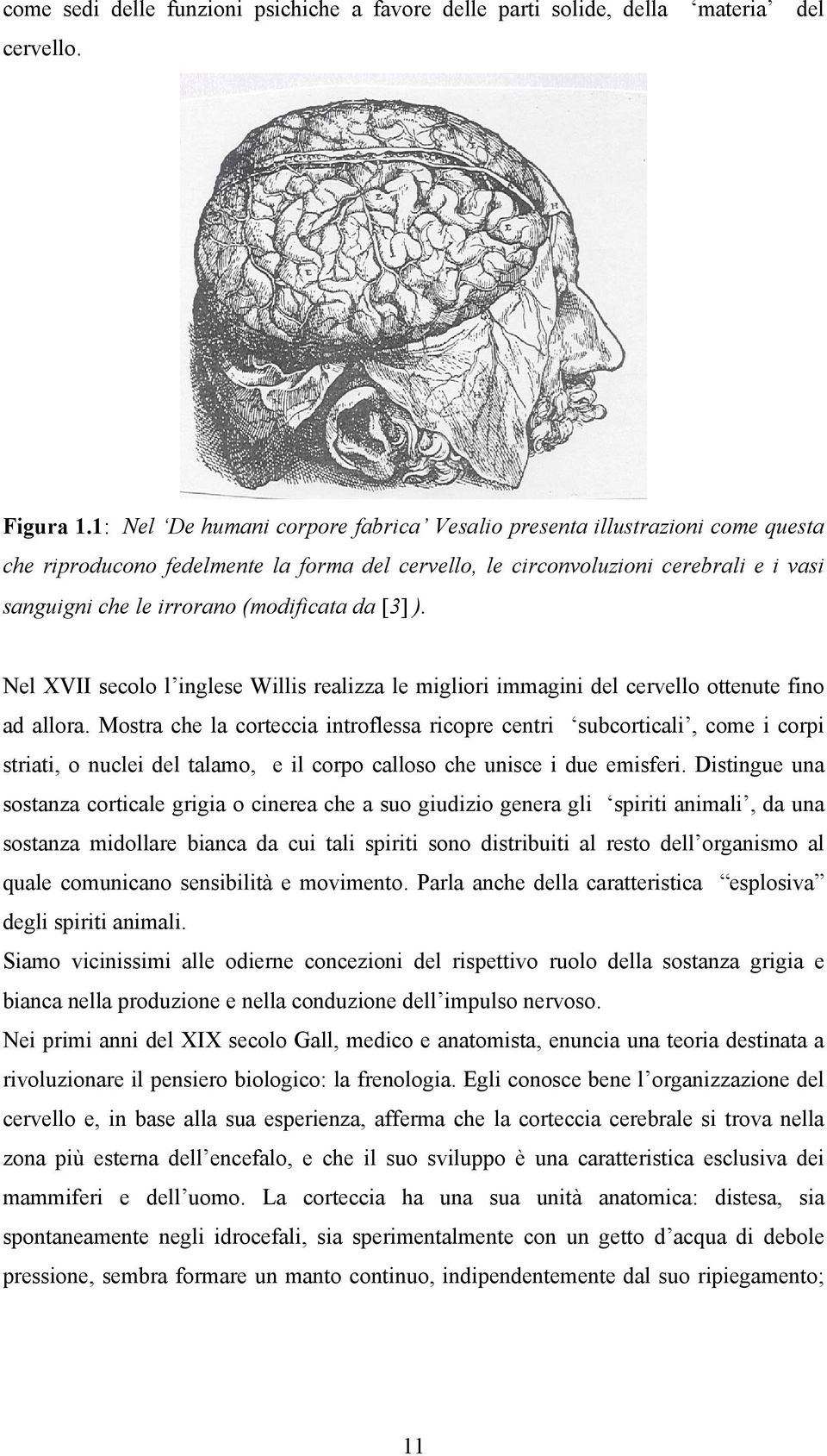 (modificata da [3] ). Nel XVII secolo l inglese Willis realizza le migliori immagini del cervello ottenute fino ad allora.