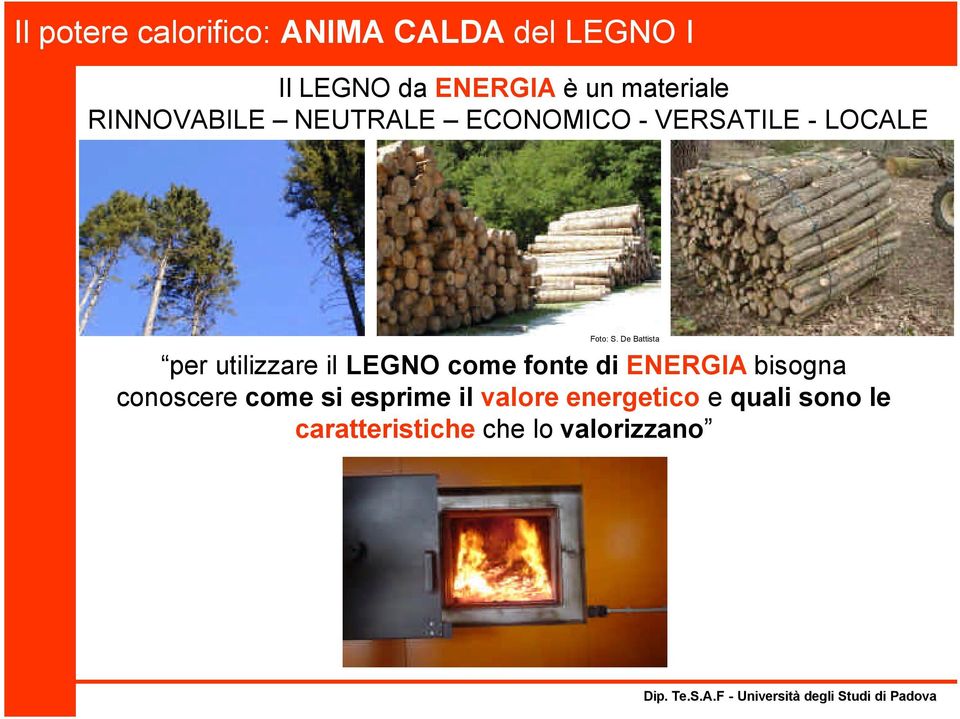 De Battista per utilizzare il LEGNO come fonte di ENERGIA bisogna conoscere