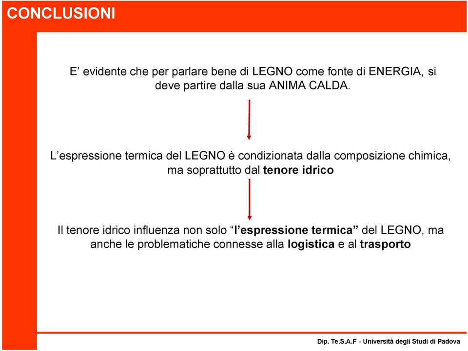 L espressione termica del LEGNO è condizionata dalla composizione chimica, ma