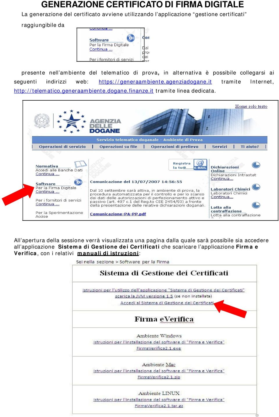 it tramite Internet, http://telematico.generaambiente.dogane.finanze.it tramite linea dedicata.