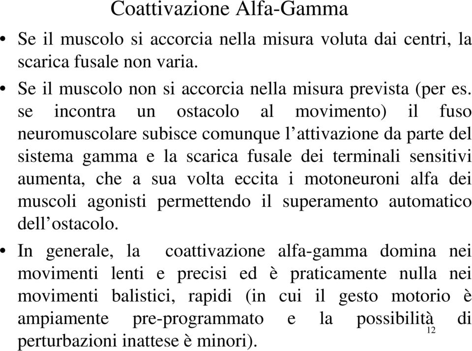 a sua volta eccita i motoneuroni alfa dei muscoli agonisti permettendo il superamento automatico dell ostacolo.