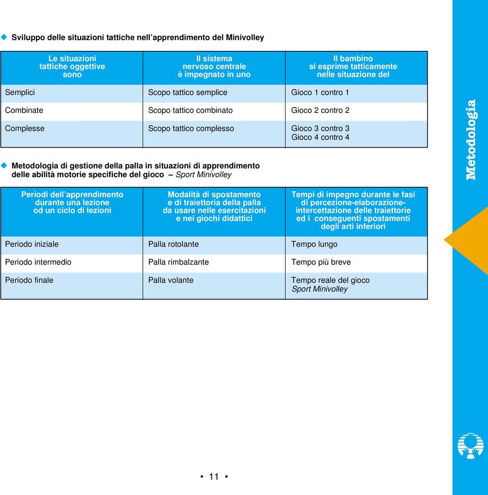 gestione della palla in situazioni di apprendimento delle abilità motorie specifiche del gioco Sport Minivolley Metodologia Periodi dell apprendimento Modalità di spostamento Tempi di impegno durante