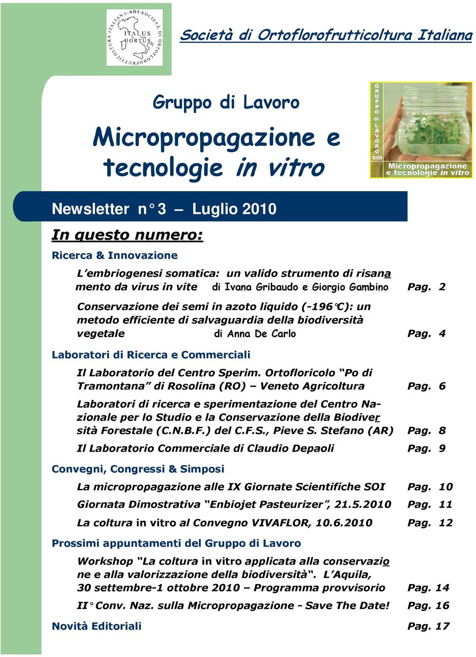 4 Laboratori di Ricerca e Commerciali Il Laboratorio del Centro Sperim. Ortofloricolo Po di Tramontana di Rosolina (RO) Veneto Agricoltura Pag.