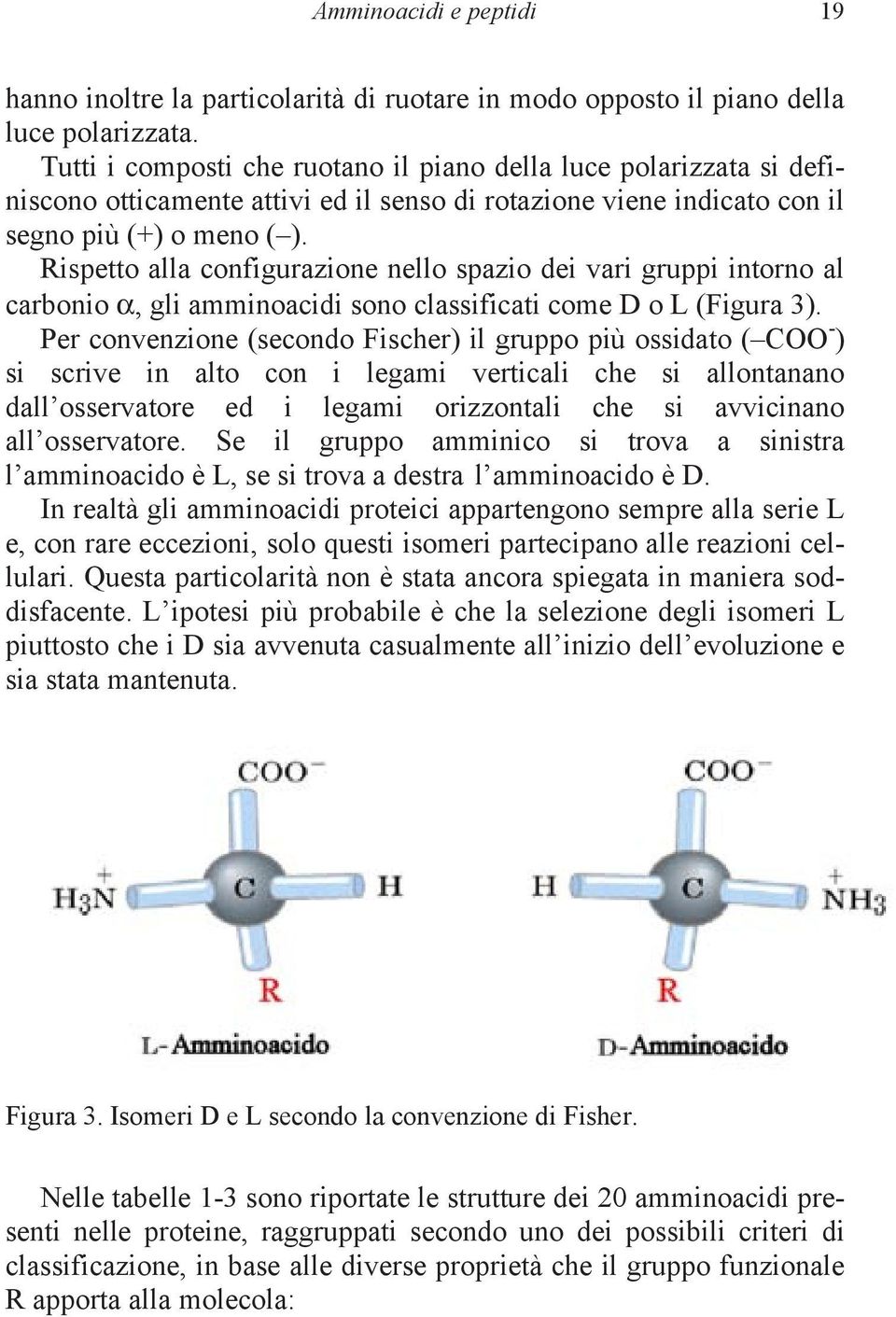 Rispetto alla configurazione nello spazio dei vari gruppi intorno al carbonio α, gli amminoacidi sono classificati come D o L (Figura 3).