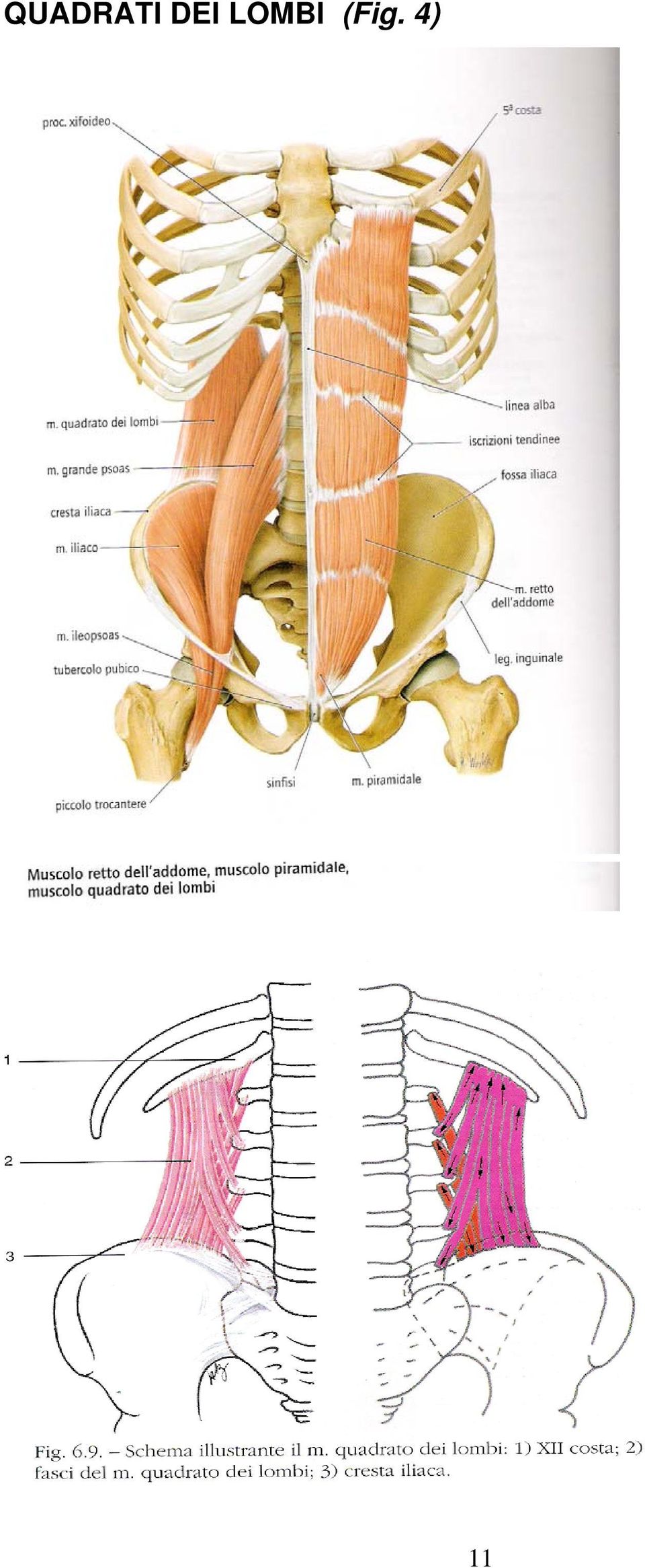 (Fig. 4)