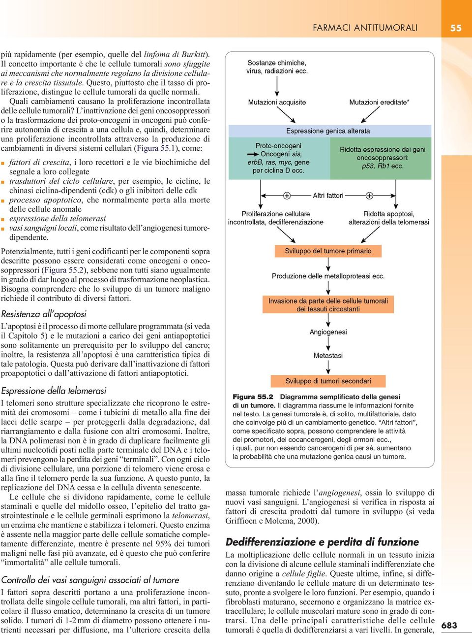 Questo, piuttosto che il tasso di proliferazione, distingue le cellule tumorali da quelle normali. Quali cambiamenti causano la proliferazione incontrollata delle cellule tumorali?